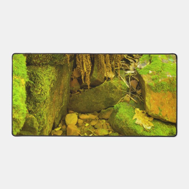 Moss et Pierre – Chutes Hongroises, Péninsule Supé (Recto)