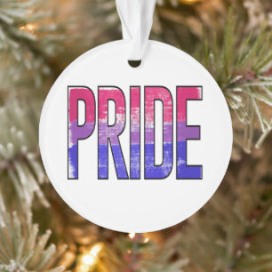 Mot Bisexuel Fier
