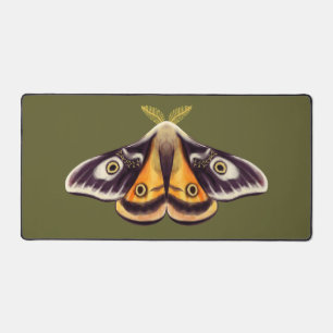 Moth Insect Art Goblincore Saturnia Witchy Green