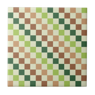 Motif à carreaux diagonaux arc-en-ciel terreux