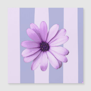 Motif à rayures pastel avec des marguerites