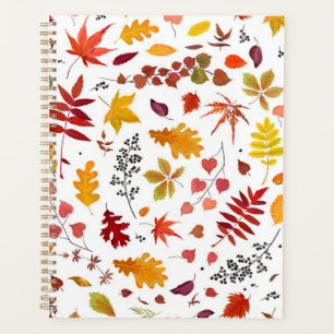 Motif automne