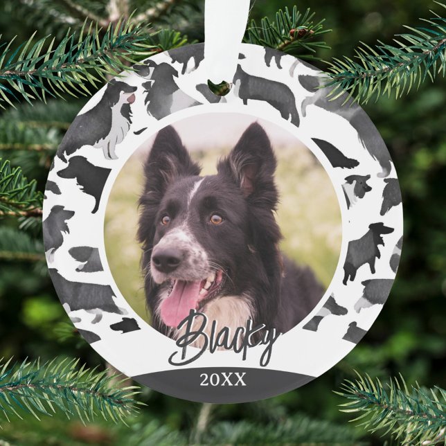 Motif Border Collie Nom de Chien Photo Noël  (Créateur téléchargé)