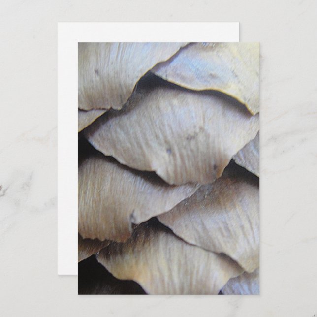 motif de cône Brown (Devant / Derrière)