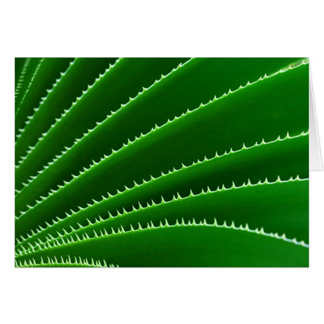 Motif de feuille verte épineuse (Devant horizontal)