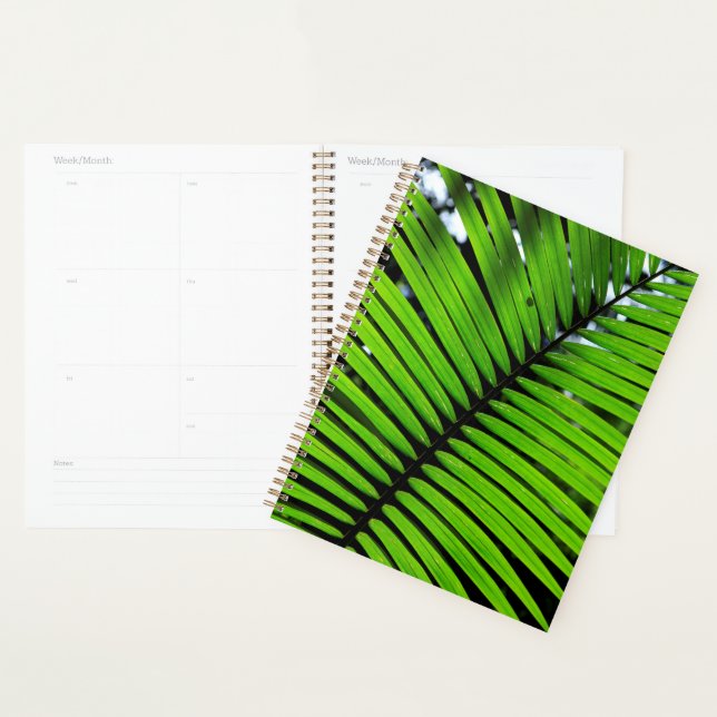 Motif de feuilles de fougère (Devant avec enveloppe)