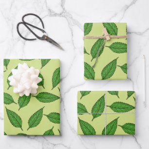 Motif de feuilles, motif de feuille, feuilles de p