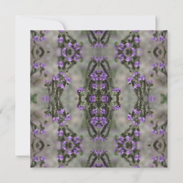 Motif de fleur sauvage Héliotrope au sel pourpre (Devant)