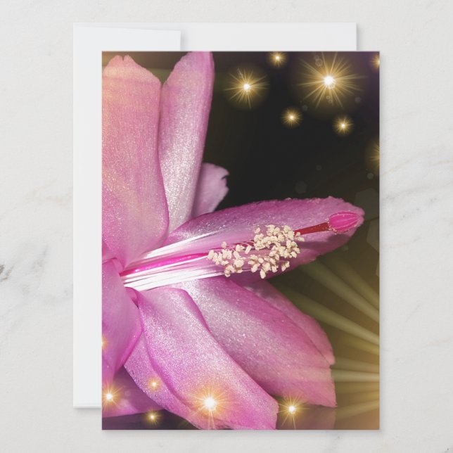 motif de fleurs de couleur festive (Devant)