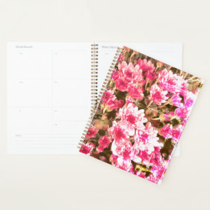 Motif de floraison florale rose – Conception botan
