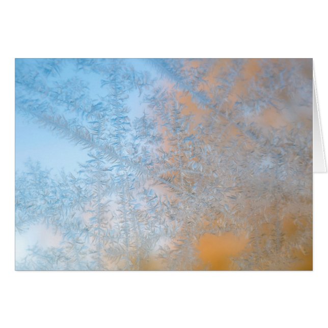 Motif de givre délicat, Wisconsin (Devant horizontal)
