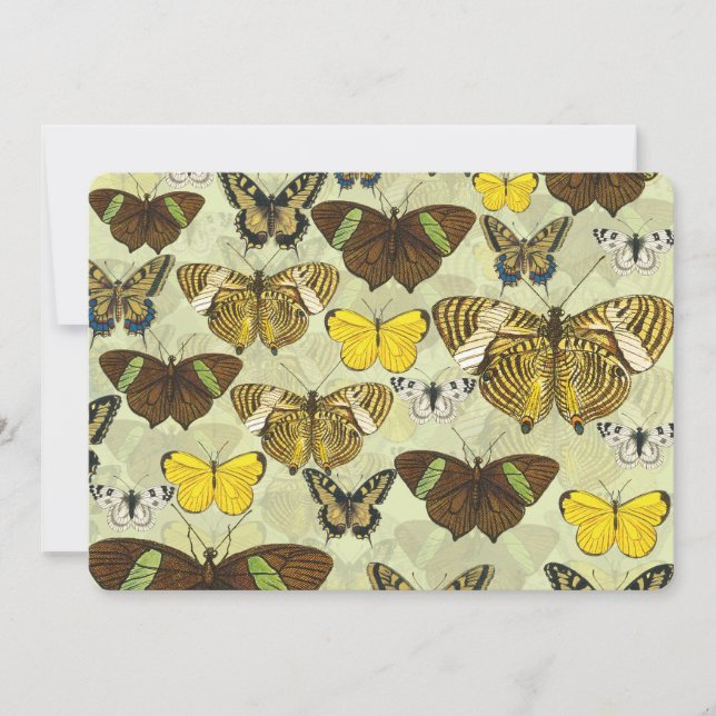 Motif de graphique papillon vintage (Devant)