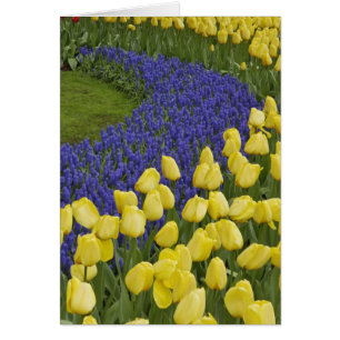 Motif de jardin de fleurs de Muscari et