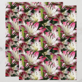 Motif de la nature de Lily blanche