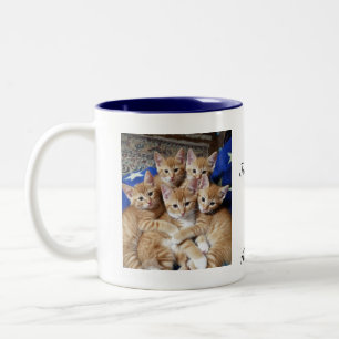 Motif de photo de chats, Mug
