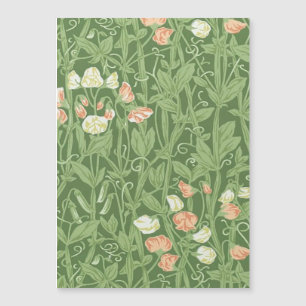 Motif de pois de senteur William Morris, botanique