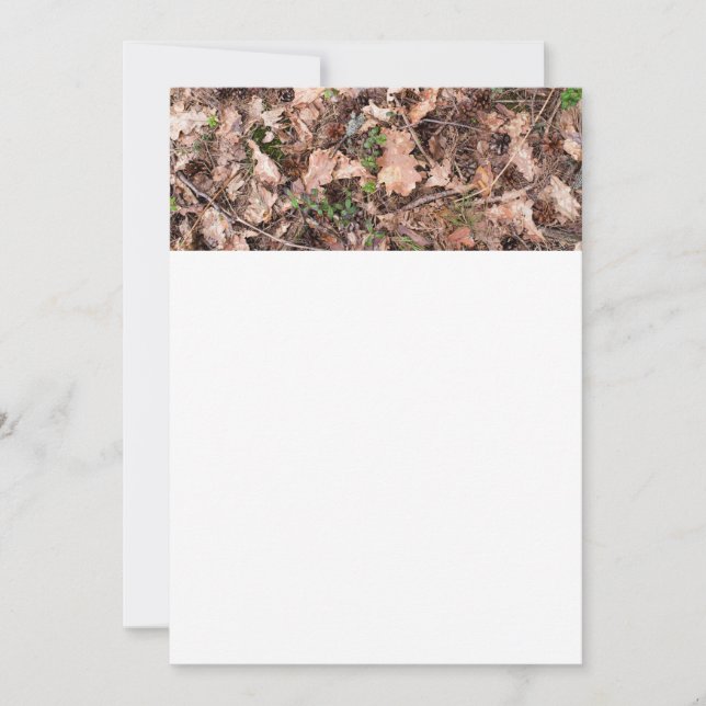 Motif de terrain forestier (Devant)