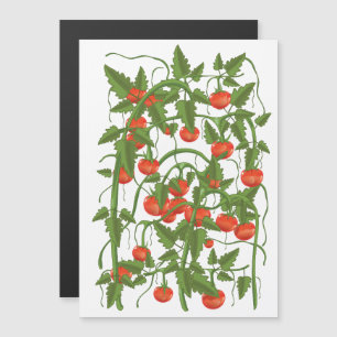 Motif de tomates