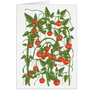 Motif de tomates