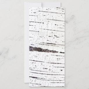 Motif d'écorce de bouleau