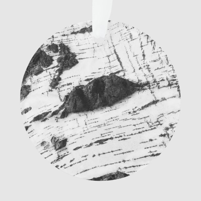 Motif d'écorce de bouleau (devant)