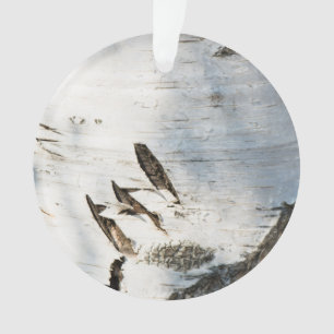 Motif d'écorce de bouleau