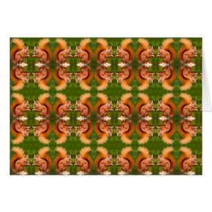 Motif d'écureuil rouge