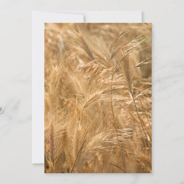 Motif d'herbe sèche (Devant)
