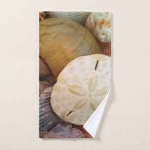 Motif du dollar de sable de coquillage