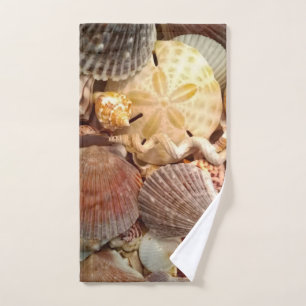 Motif du dollar de sable de coquillage