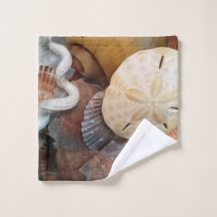 Motif du dollar de sable de coquillages