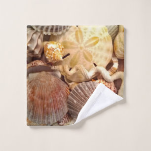 Motif du dollar de sable de coquillages