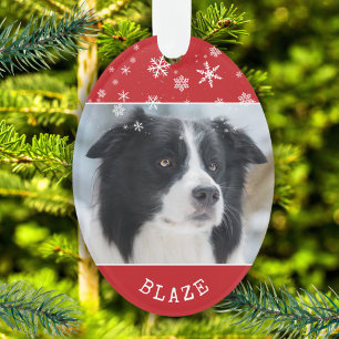Motif flocon de neige photo et nom de chien rouge