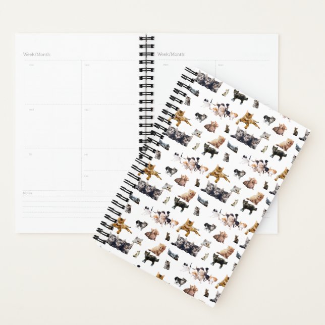 Motif mignon avec des photos de Chats et chatons (Devant avec enveloppe)