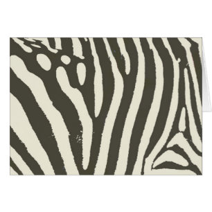 Motif Poster de animal Zebra Stripe