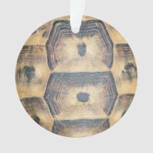 Motif Tortoise Shell