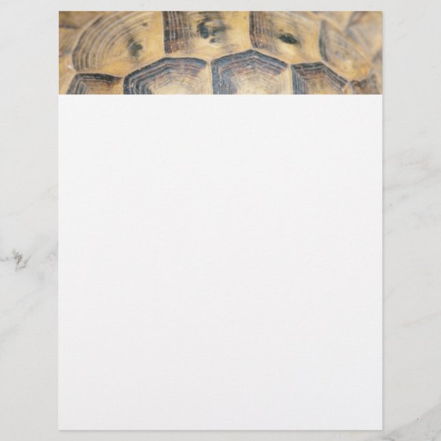 Motif Tortoise Shell (Devant)