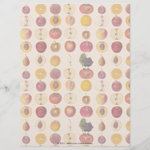 Motif vintage de fruits