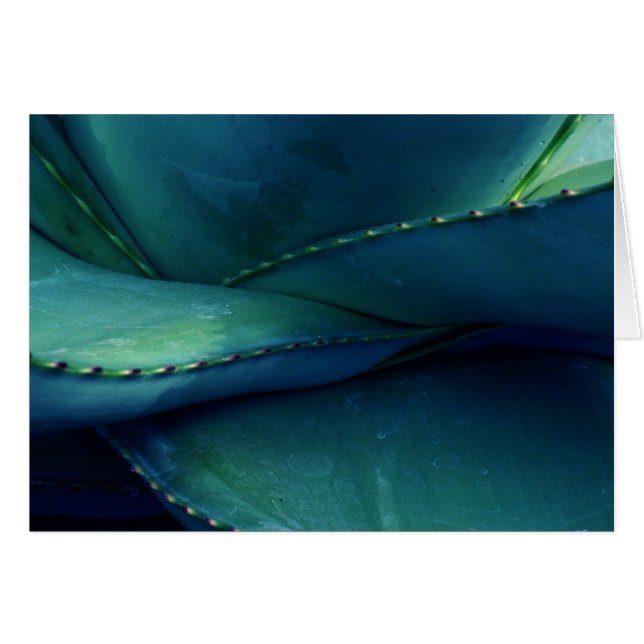 Motifs de la nature (Devant horizontal)