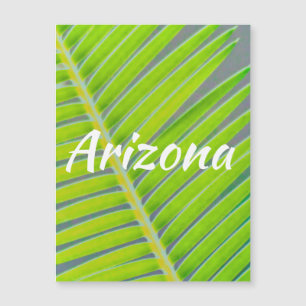 Motifs de Palms, Arizona