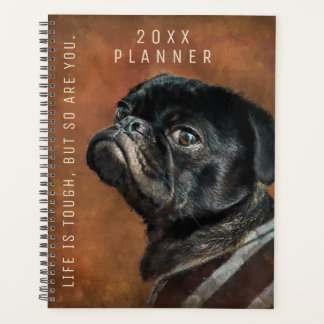 Motivation du chien de Carlin noir