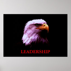 Motivation Leadership Eagle Eyes Poster