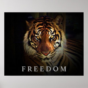 Motivation Liberté Yeux de Tiger Poster Imprimer