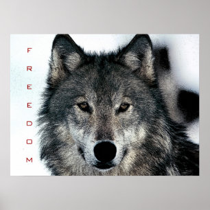 Motivational Freedom Courage Loup Poster Imprimer