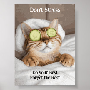Motivational Funy Inspirational Cat Poster