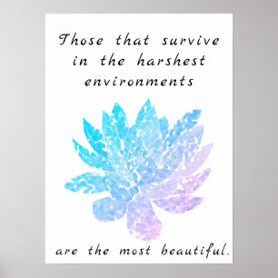 motivationnel art succulent affiche bleu et rose