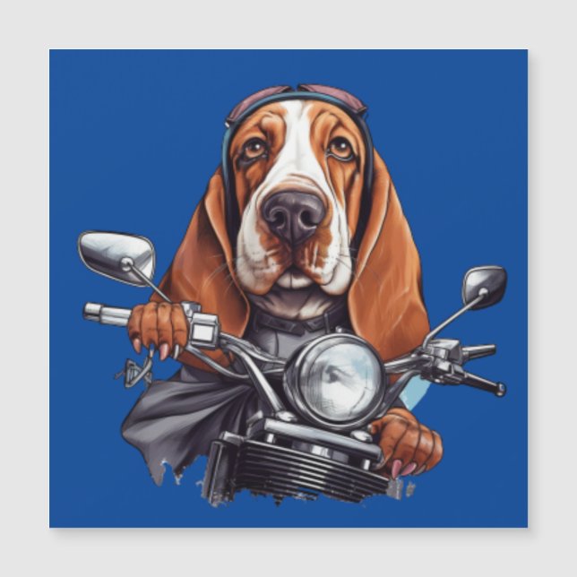 Moto cool avec un chien, conducteur de chien basse (Devant)