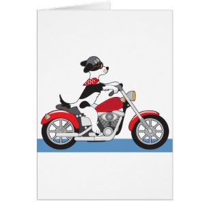 Moto de chien