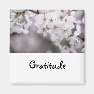 Mots à vivre par : Aimant de gratitude