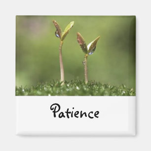 Mots à vivre par : aimant de patience